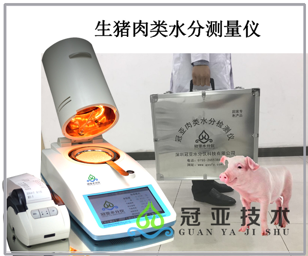 生猪肉类水分测量仪
