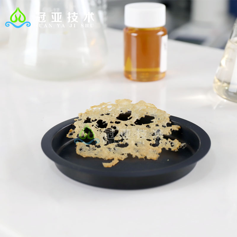 2024091114247071.jpg 鱼糜800--9.jpg