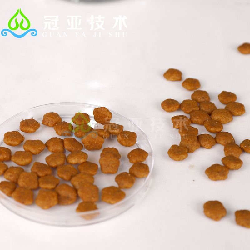 2025021016610462.jpg 宠物800-3.jpg